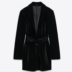NWT Zara Velvet Dress